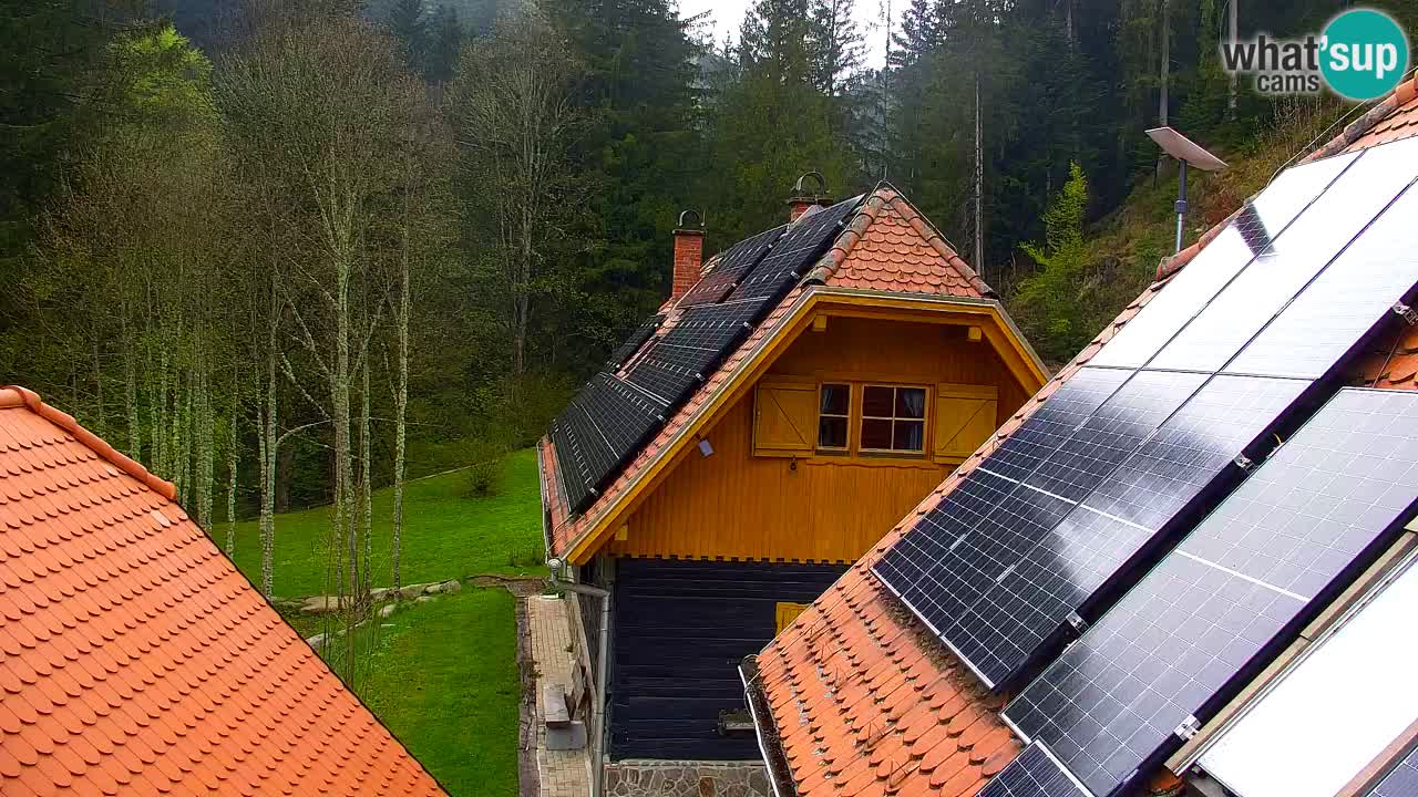 Webcam Lukanja – Water Village | Pohorje Houses