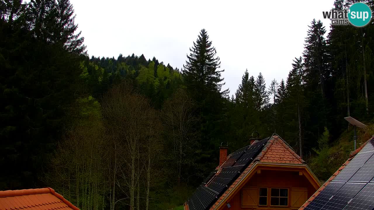 Webcam Lukanja – Water Village | Pohorje Houses