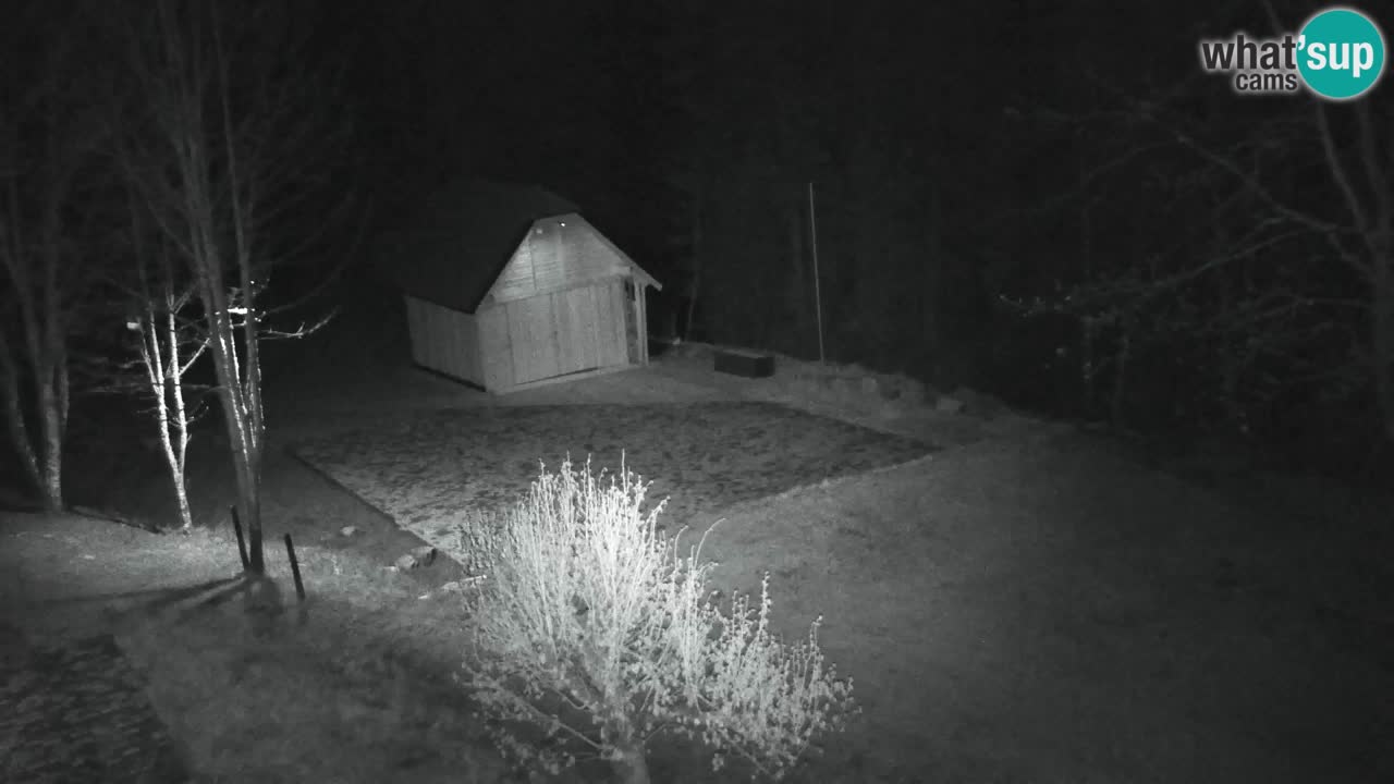 Webcam Lukanja – Water Village | Pohorje Houses