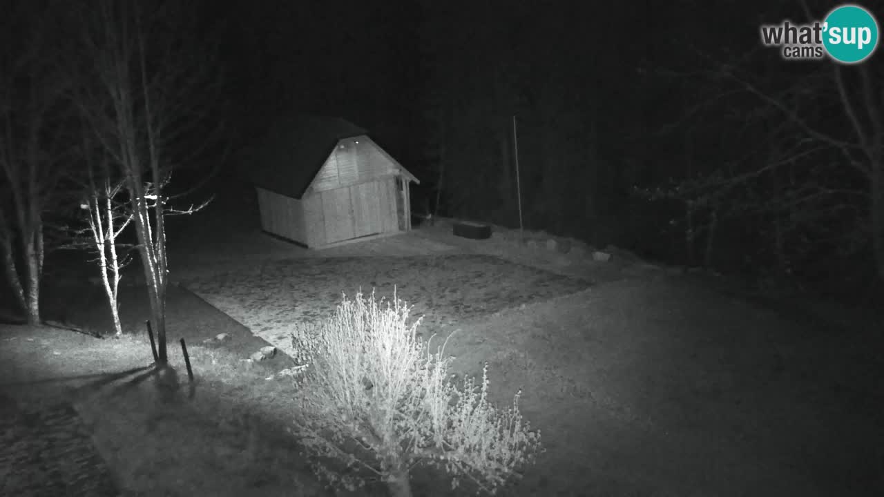 Spletna kamera Lukanja – Water Village | Pohorje Houses