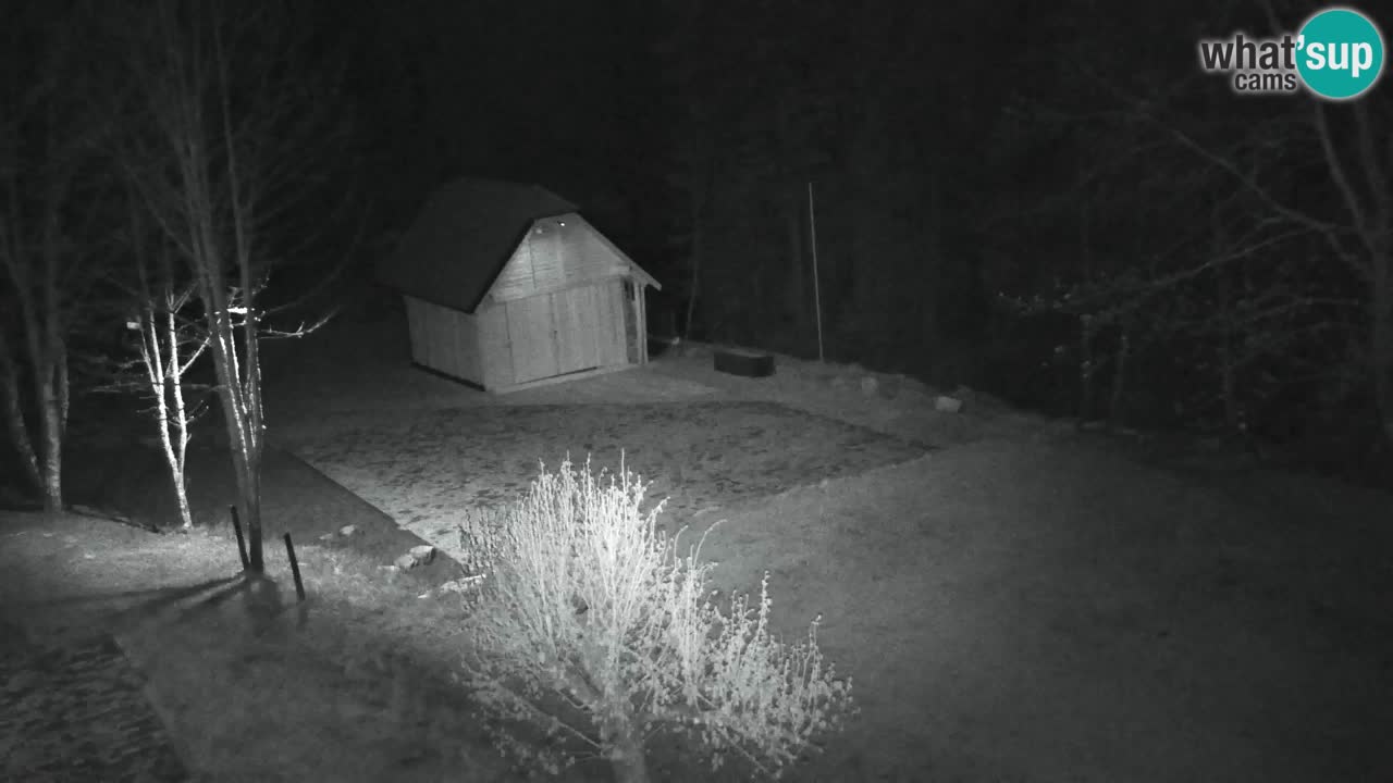 Webcam Lukanja – Pohorje houses a Water village