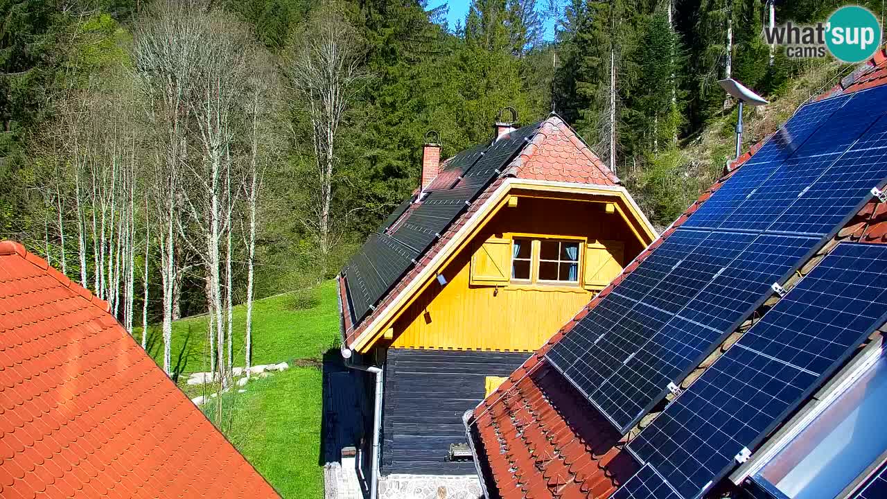 Webcam Lukanja – Pohorje houses a Water village