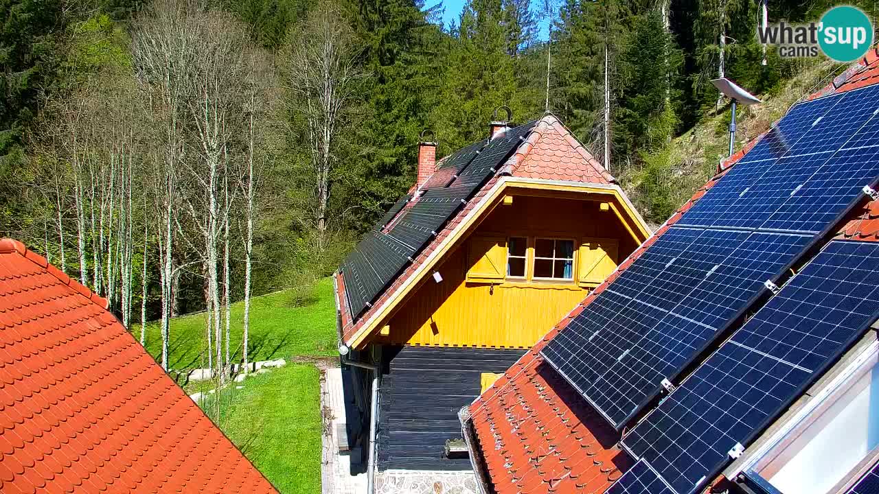 Webcam Lukanja – Pohorje houses a Water village