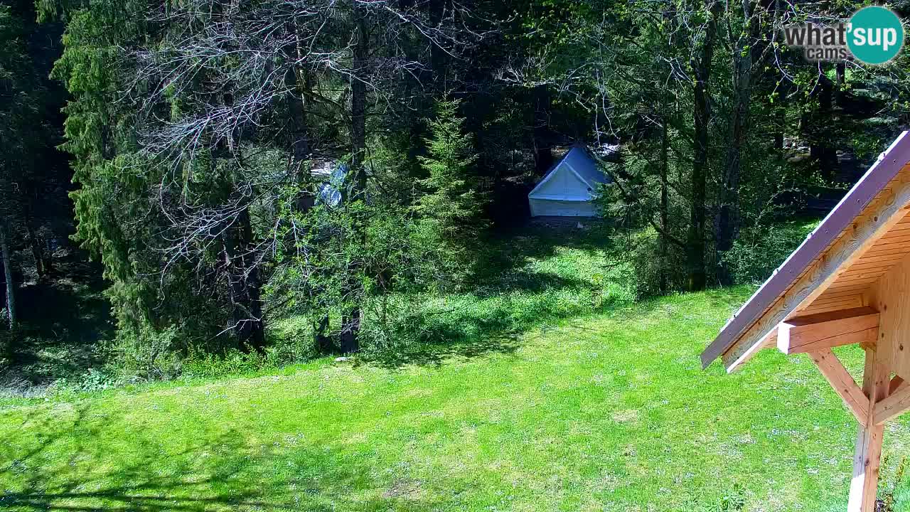 Spletna kamera Lukanja – Water Village | Pohorje Houses