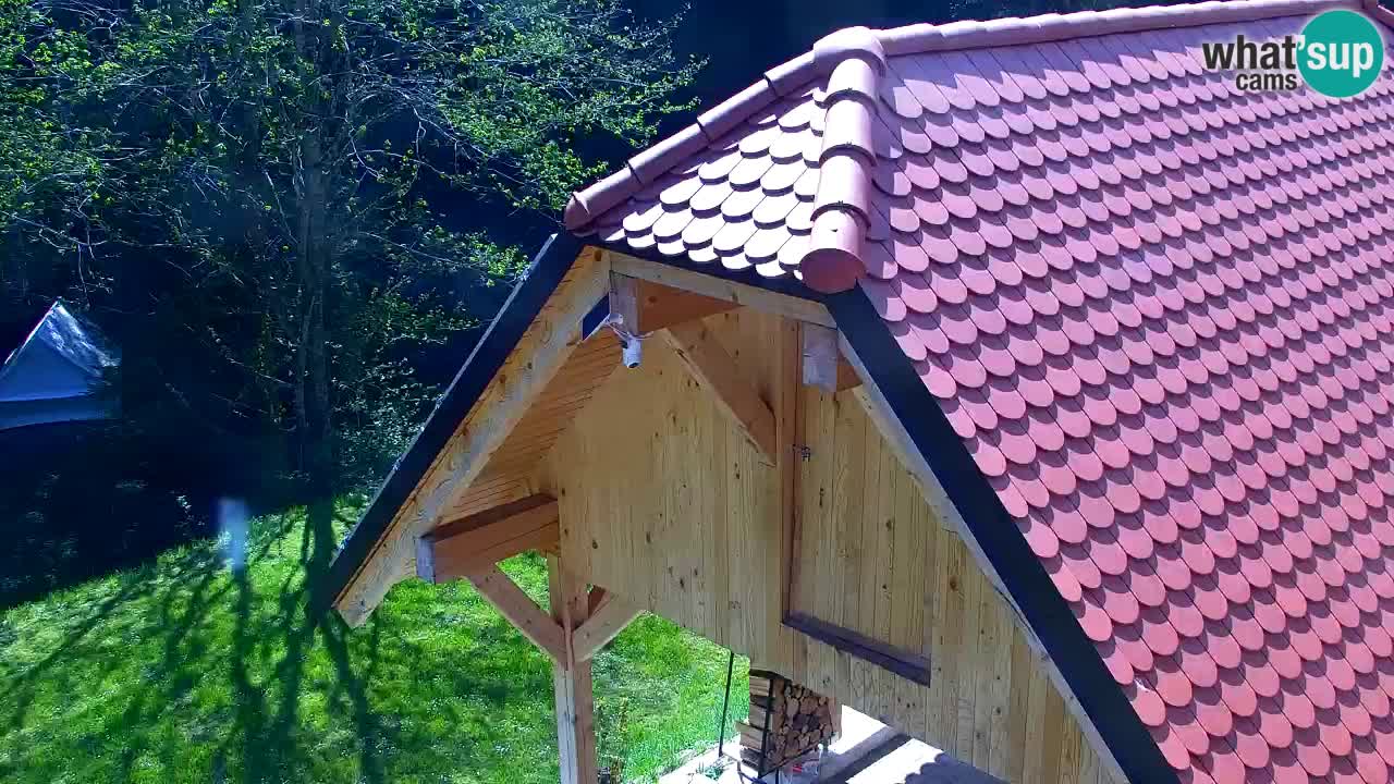 Webcam Lukanja – Water Village | Pohorje Houses