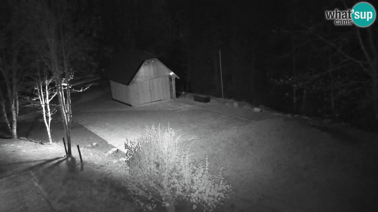 Webcam Lukanja – Water Village | Pohorje Houses