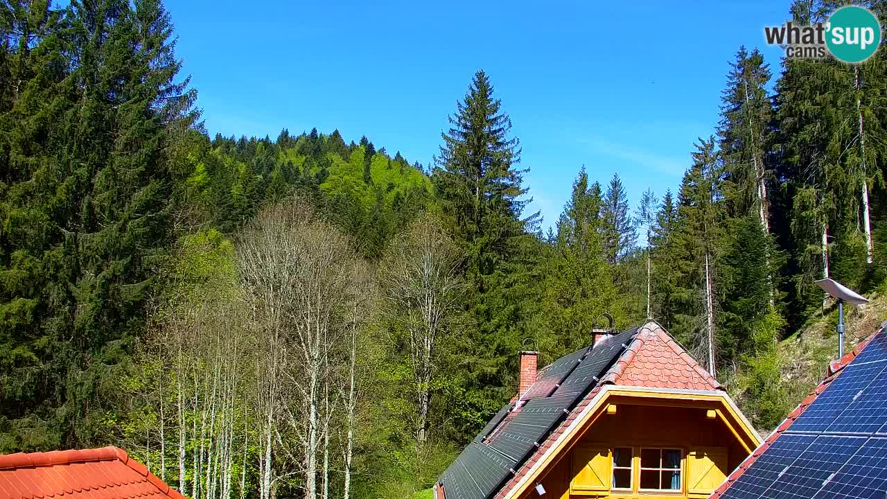 Web kamera Lukanja – Water Village | Pohorje Houses