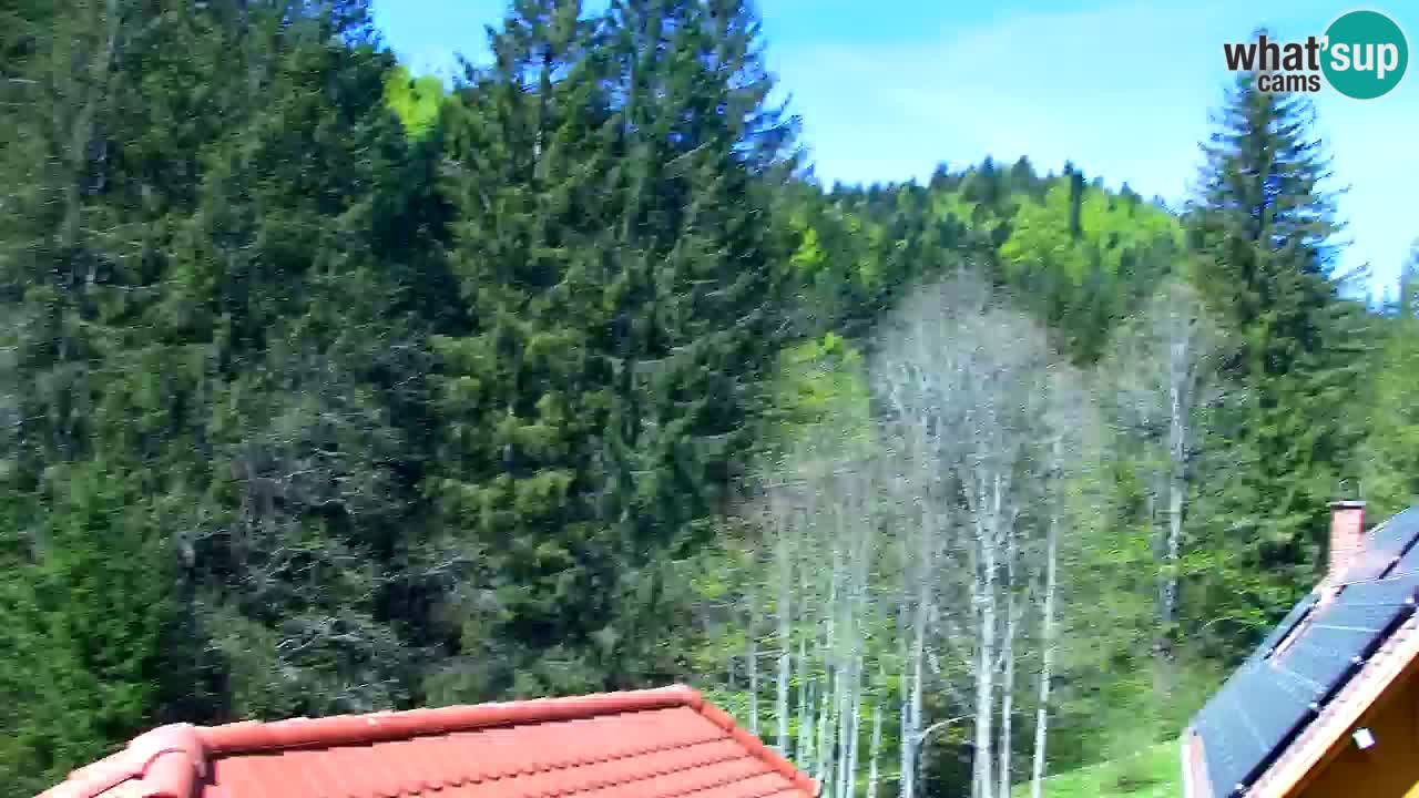 Webcam Lukanja – Water Village | Pohorje Houses