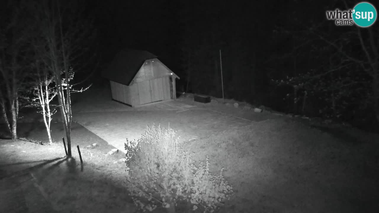 Webcam Lukanja – Water Village | Pohorje Houses