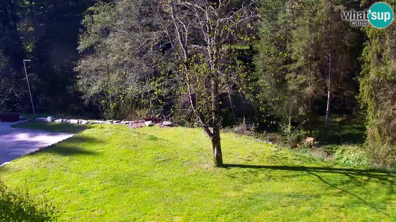 Webcam Lukanja – Pohorje houses a Water village