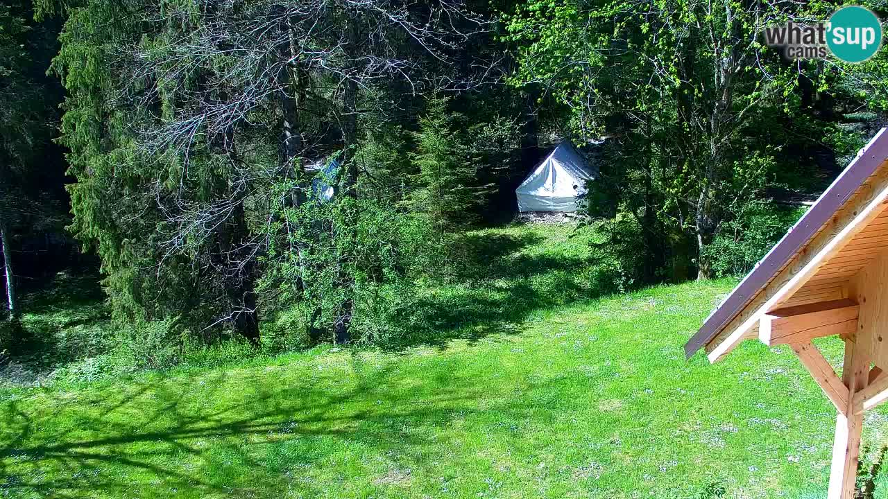 Webcam Lukanja – Water Village | Pohorje Houses