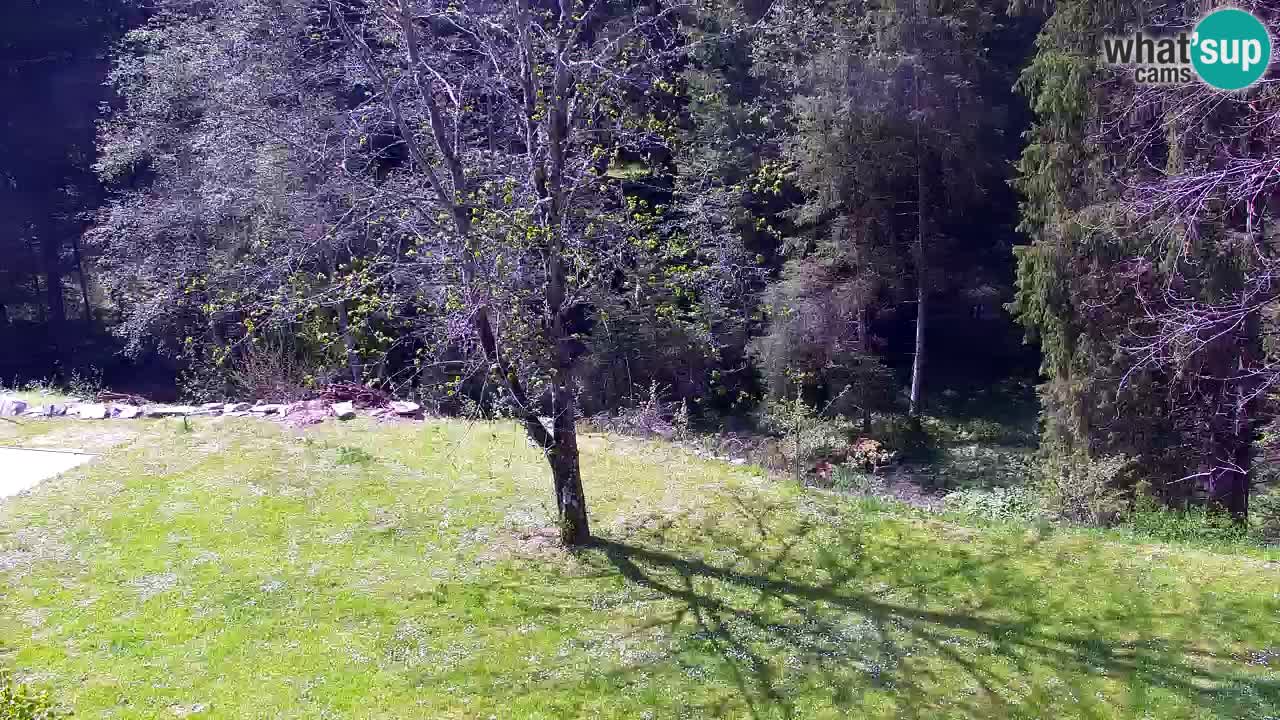 Webcam Lukanja – Pohorje houses a Water village