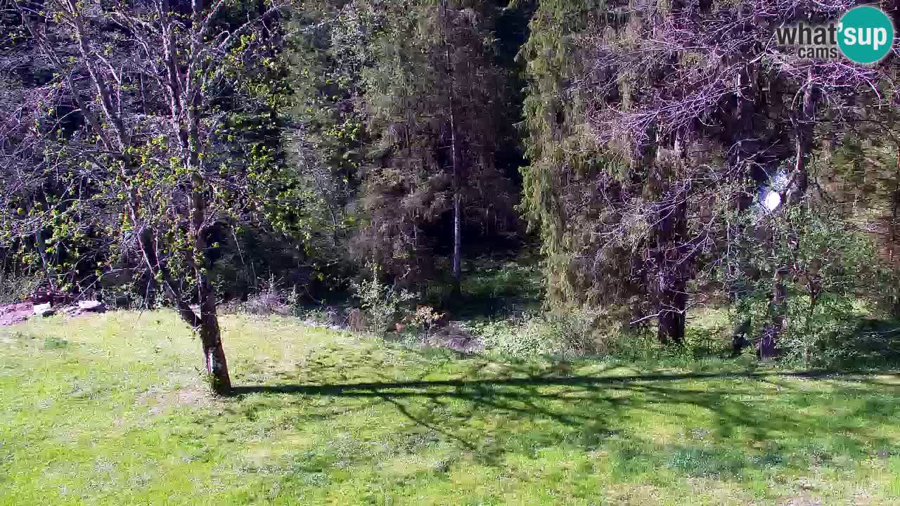 Webcam Lukanja – Water Village | Pohorje Houses