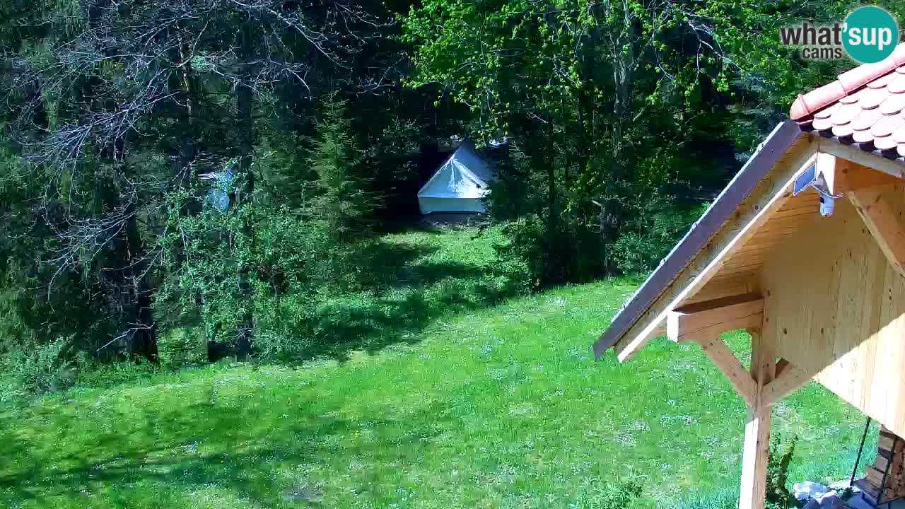 Spletna kamera Lukanja – Water Village | Pohorje Houses