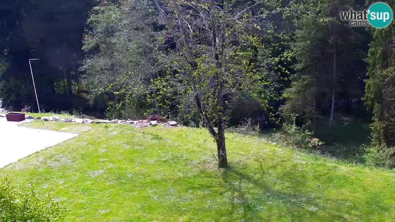 Webcam Lukanja – Water Village | Pohorje Houses