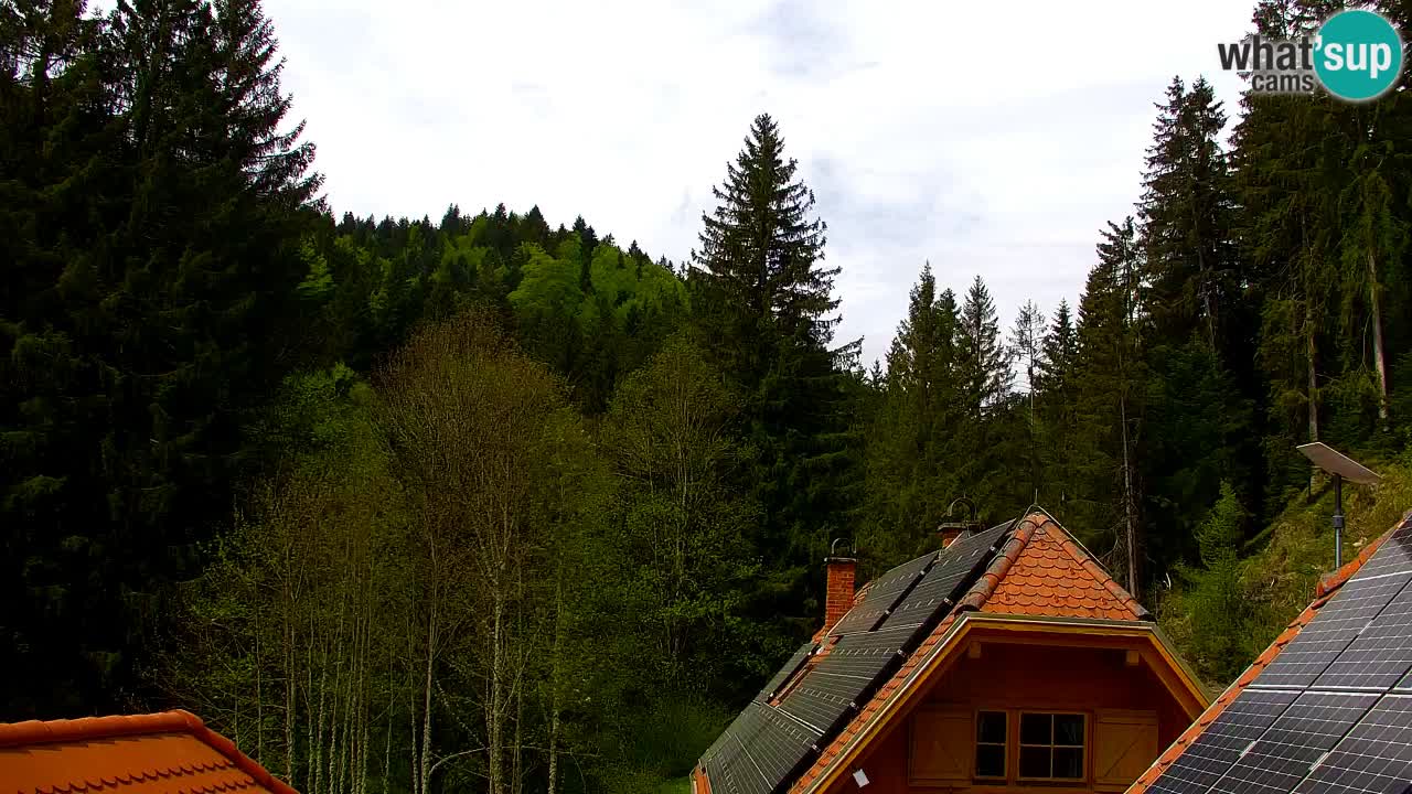 Web kamera Lukanja – Water Village | Pohorje Houses