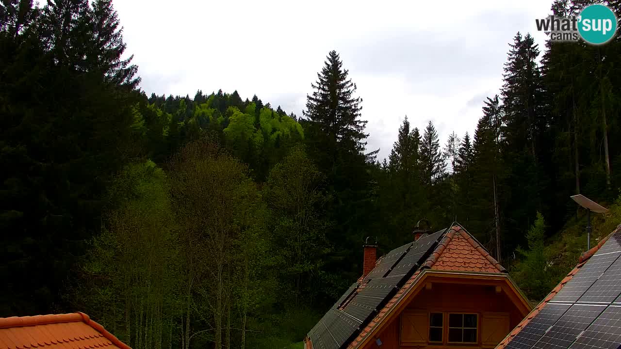 Webcam Lukanja – Water Village | Pohorje Houses