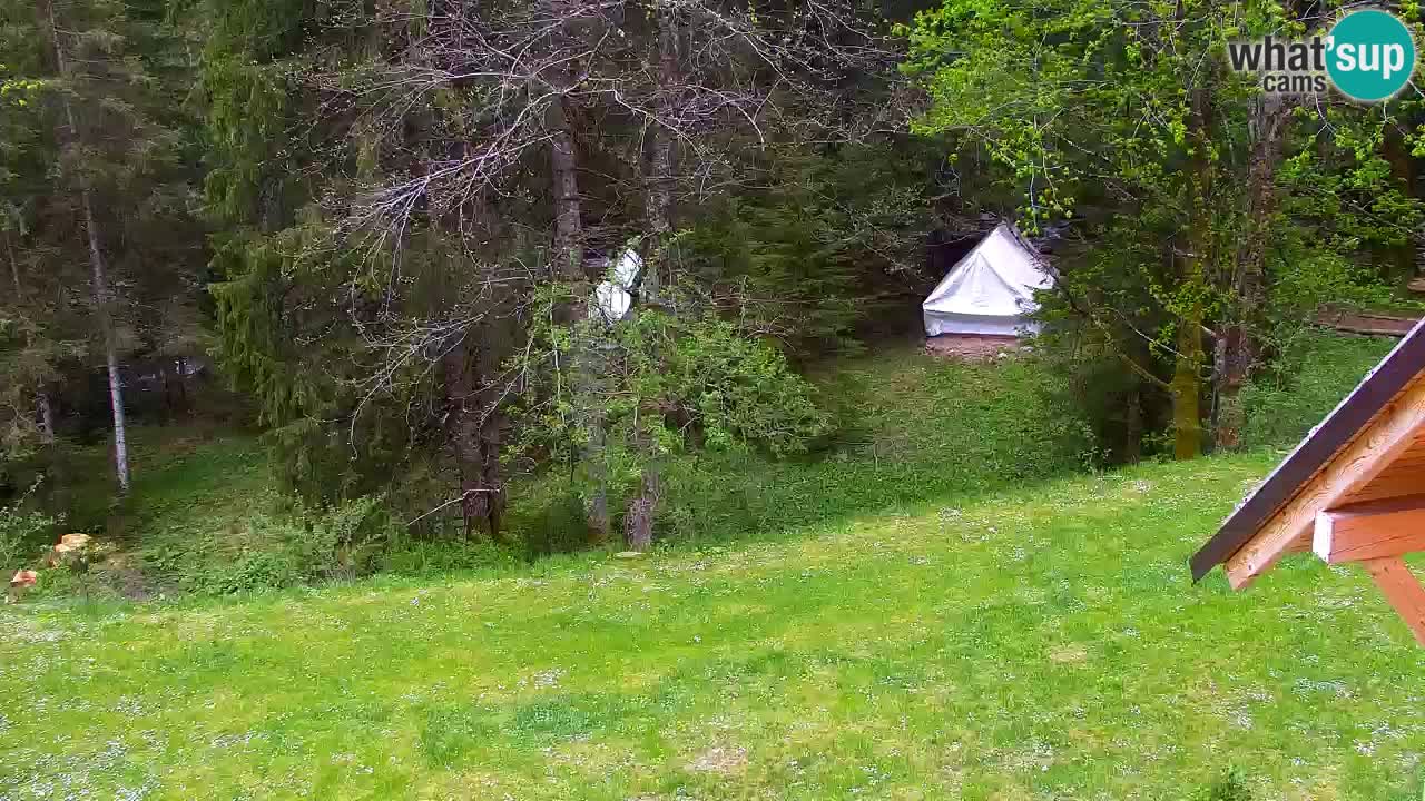 Webcam Lukanja – Water Village | Pohorje Houses