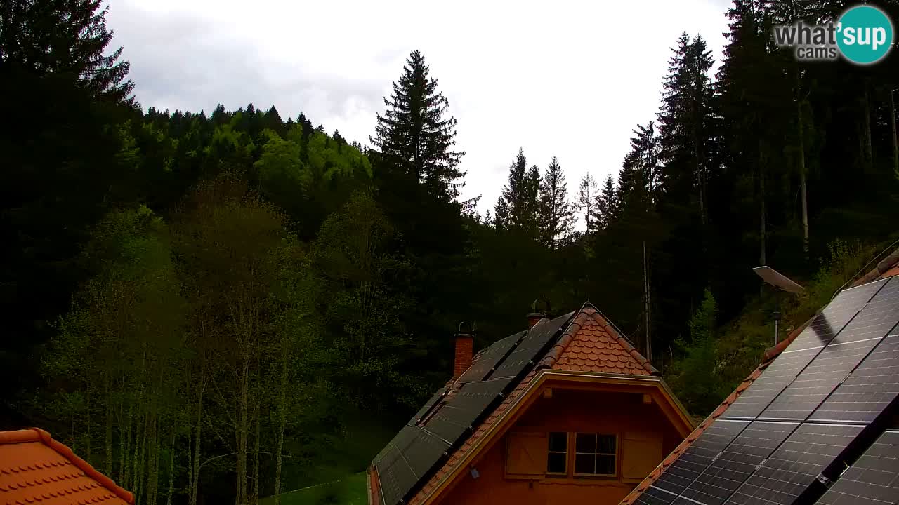 Webcam Lukanja – Pohorje houses a Water village