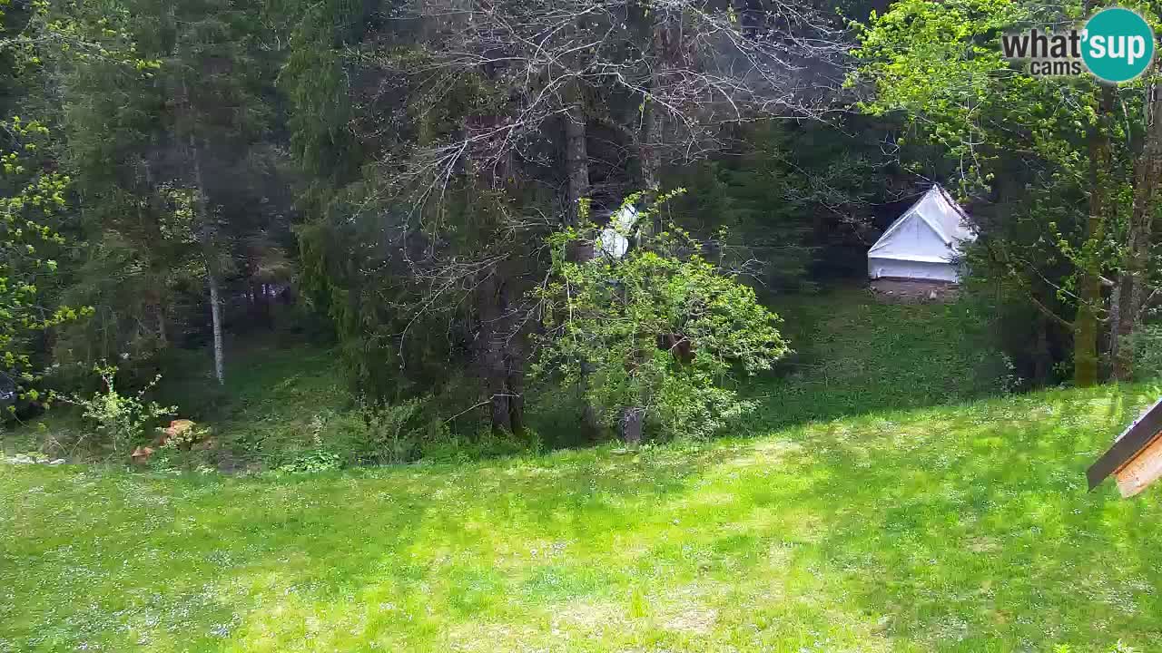 Webcam Lukanja – Pohorje houses a Water village