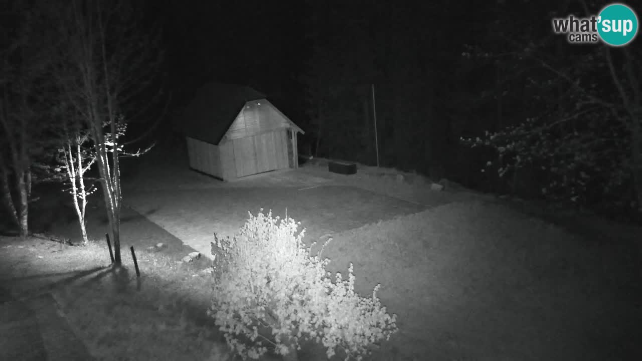 Webcam Lukanja – Water Village | Pohorje Houses