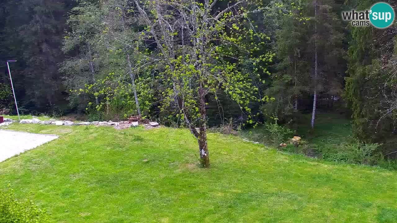 Webcam Lukanja – Water Village | Pohorje Houses