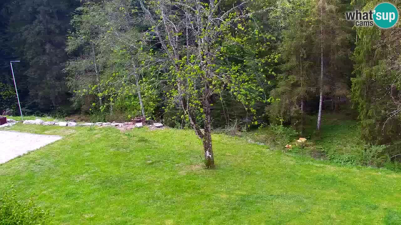 Webcam Lukanja – Water Village | Pohorje Houses