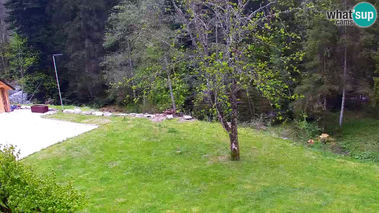 Webcam Lukanja – Pohorje houses a Water village