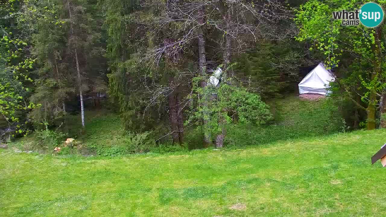 Webcam Lukanja – Pohorje houses a Water village