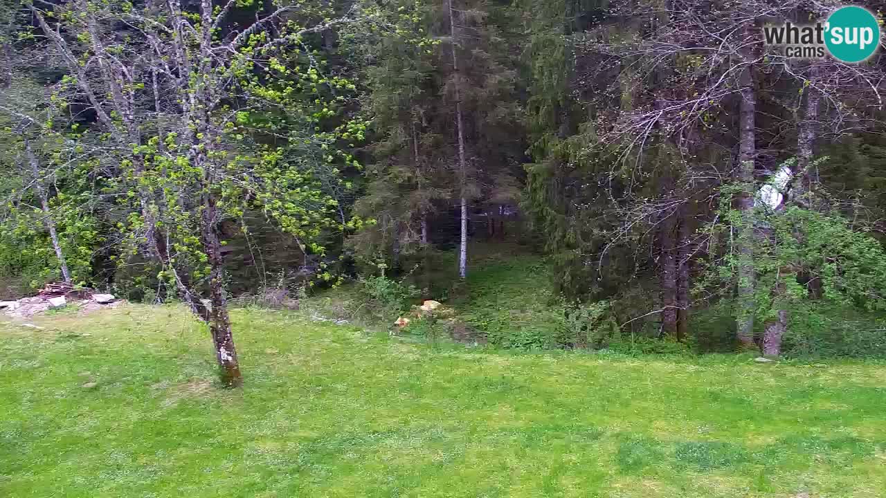 Webcam Lukanja – Water Village | Pohorje Houses
