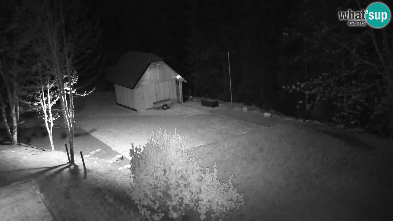 Webcam Lukanja – Water Village | Pohorje Houses