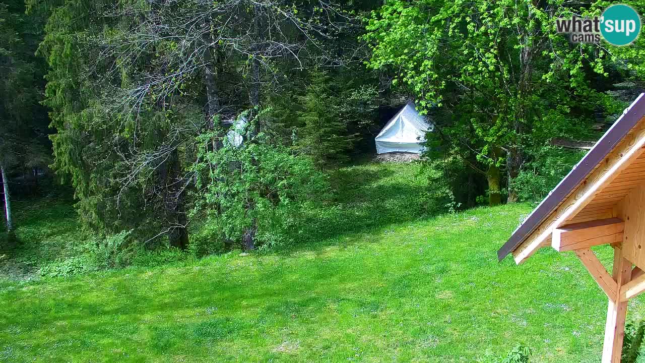 Webcam Lukanja – Pohorje houses a Water village