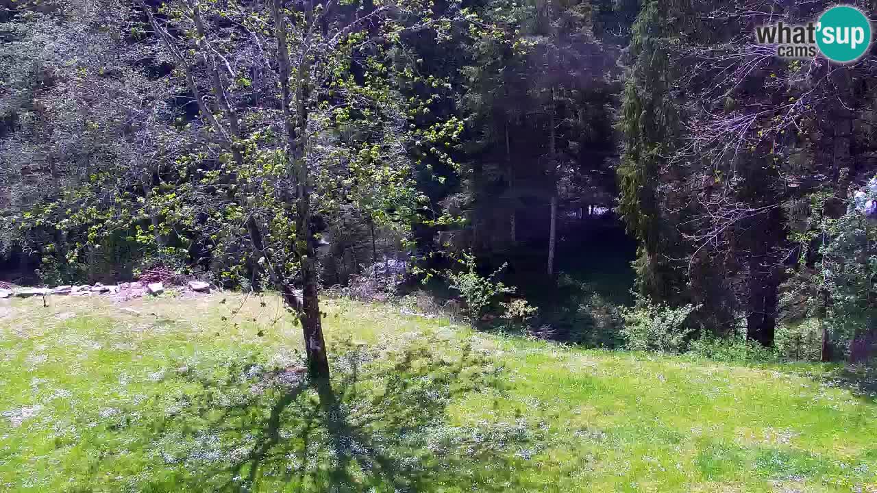Webcam Lukanja – Pohorje houses a Water village