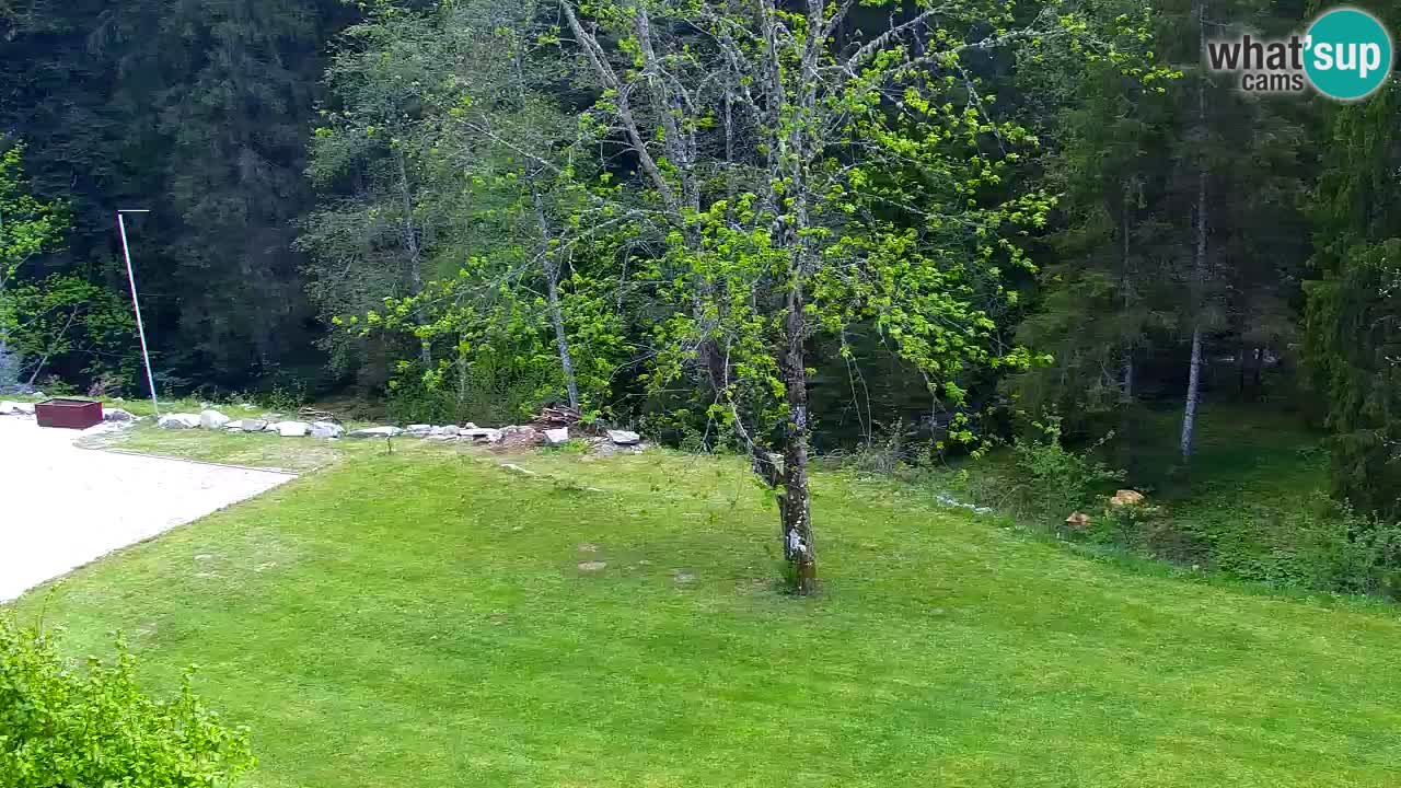 Webcam Lukanja – Water Village | Pohorje Houses