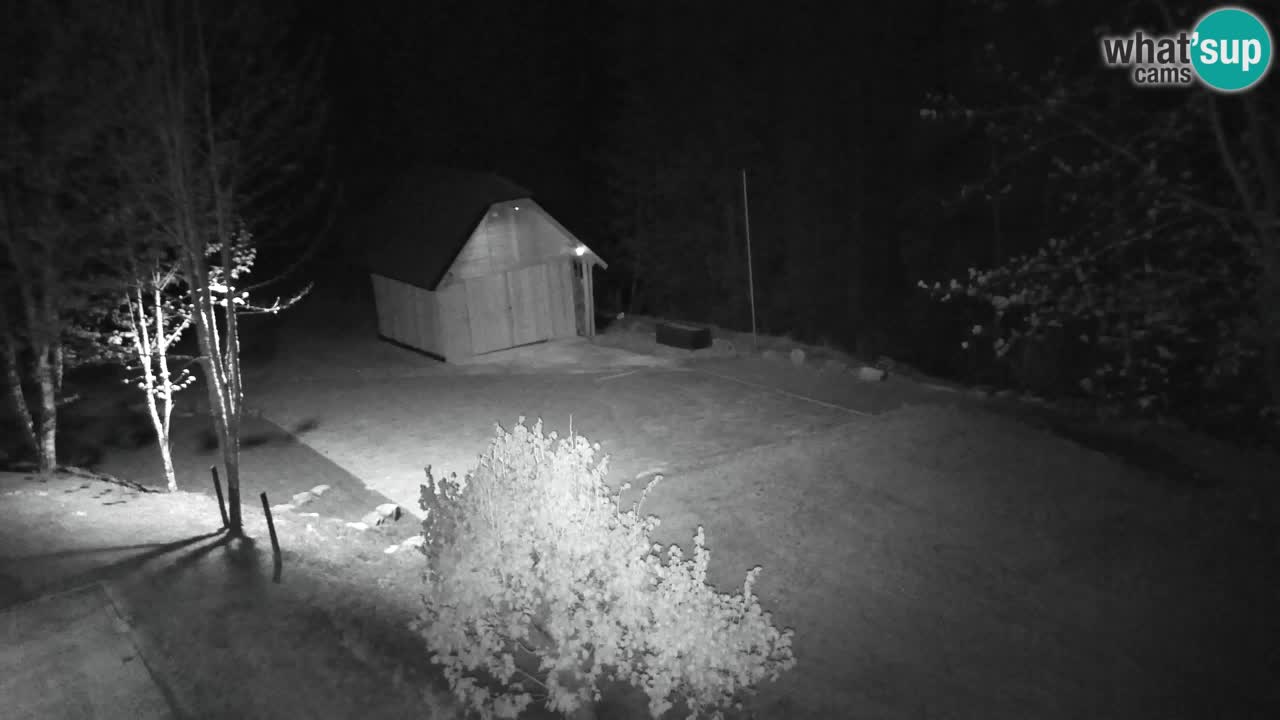 Webcam Lukanja – Water Village | Pohorje Houses