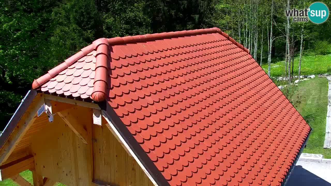 Webcam Lukanja – Water Village | Pohorje Houses