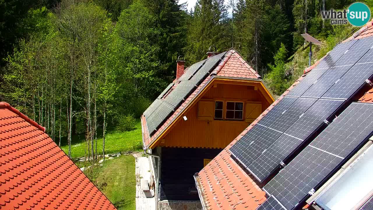 Webcam Lukanja – Water Village | Pohorje Houses