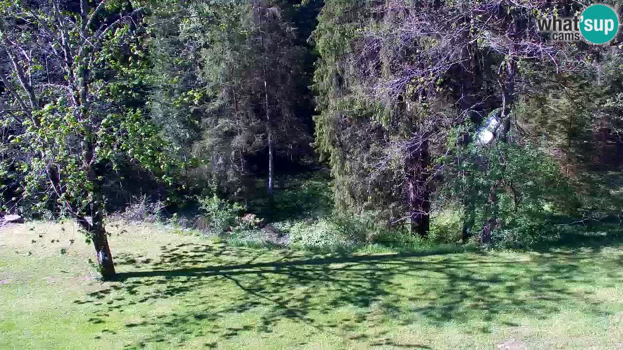 Webcam Lukanja – Water Village | Pohorje Houses