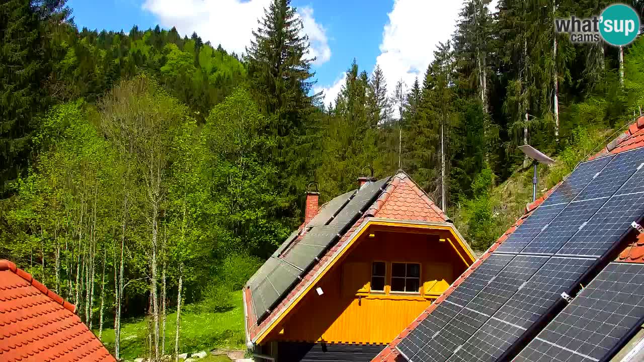 Web kamera Lukanja – Water Village | Pohorje Houses