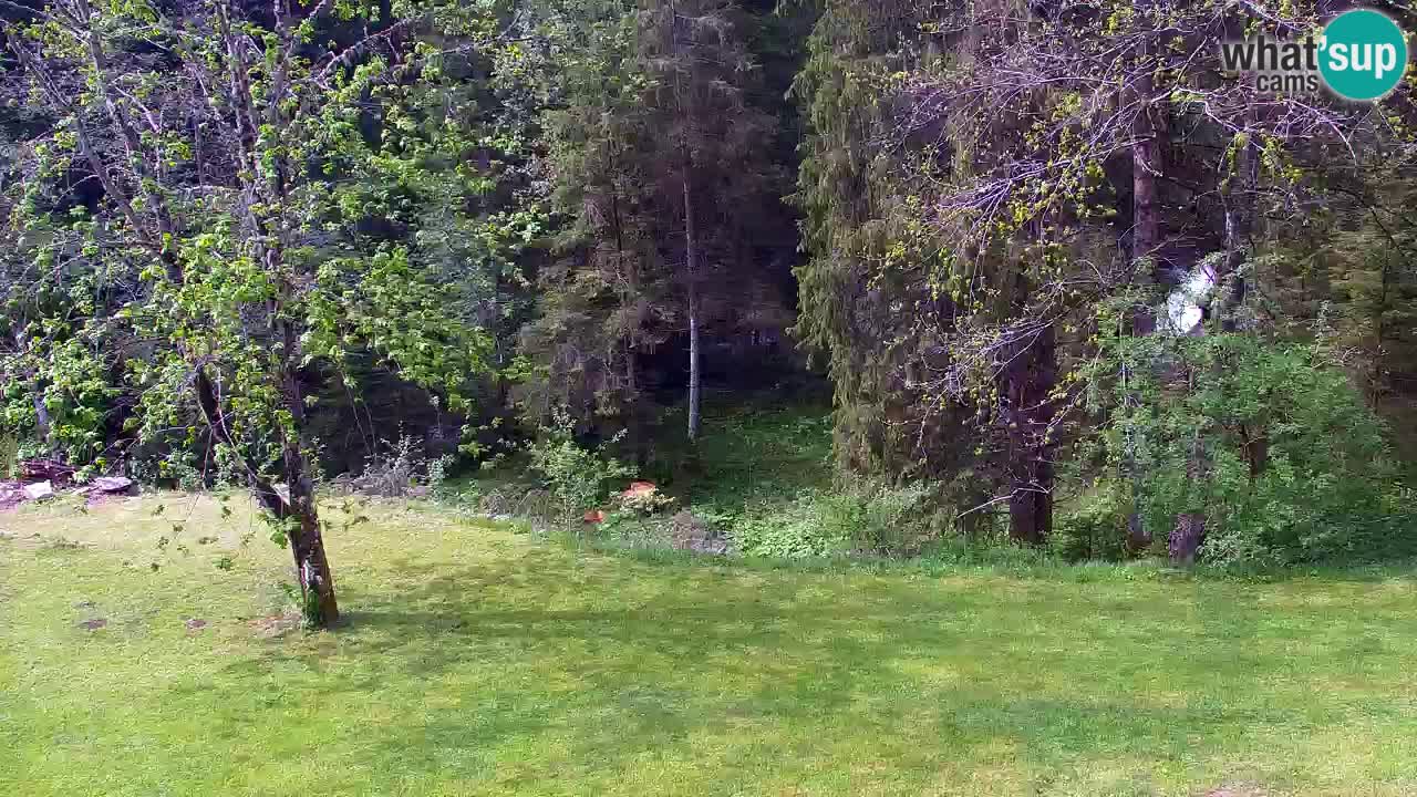 Webcam Lukanja – Water Village | Pohorje Houses