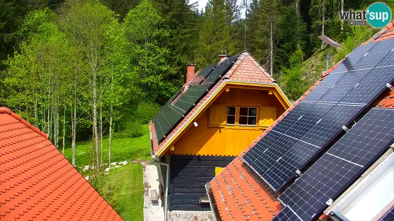 Webcam Lukanja – Water Village | Pohorje Houses