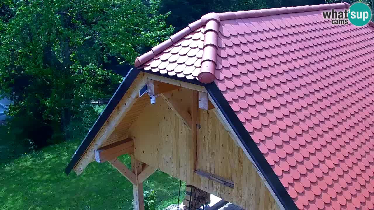 Web kamera Lukanja – Water Village | Pohorje Houses
