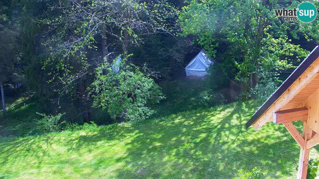 Webcam Lukanja – Pohorje houses a Water village