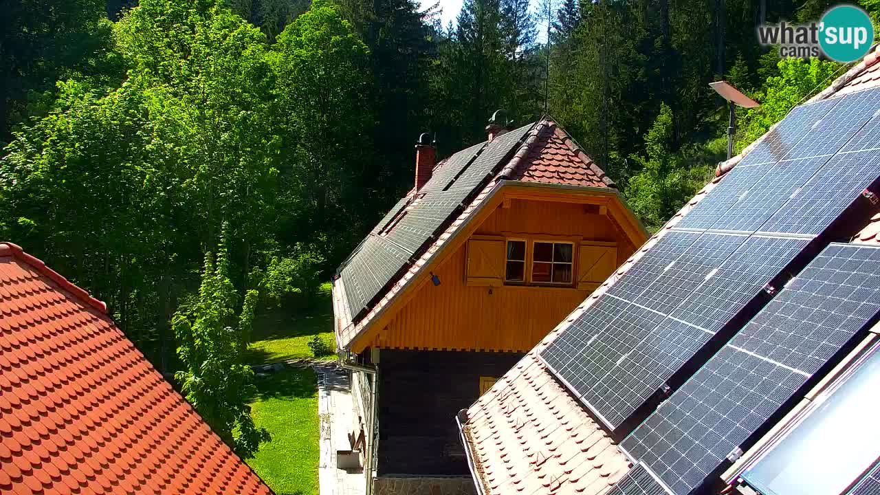 Webcam Lukanja – Water Village | Pohorje Houses