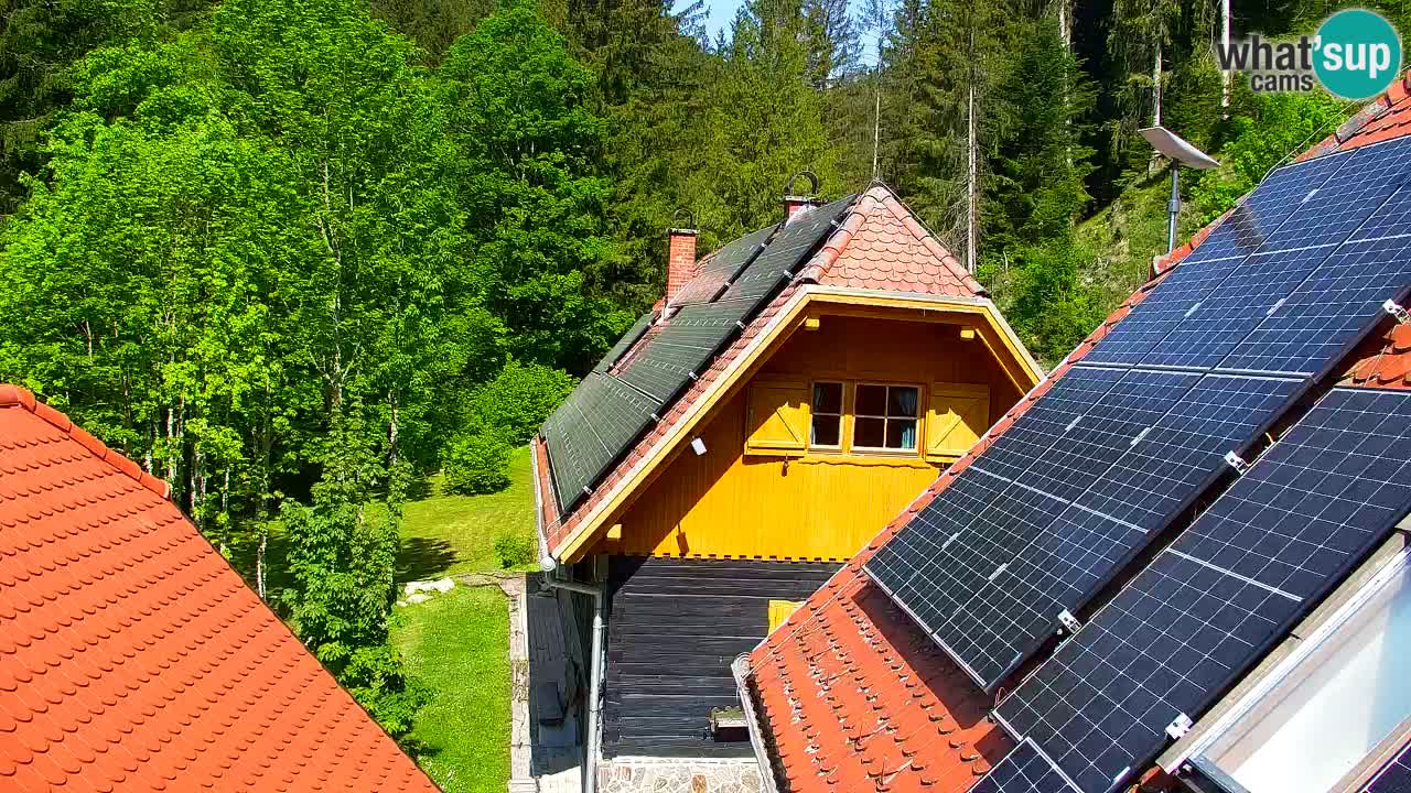 Webcam Lukanja – Water Village | Pohorje Houses