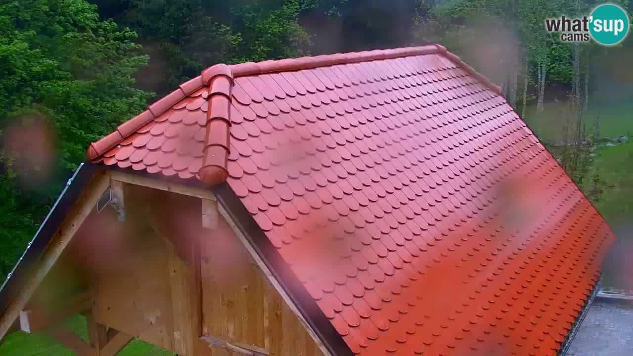 Webcam Lukanja – Water Village | Pohorje Houses