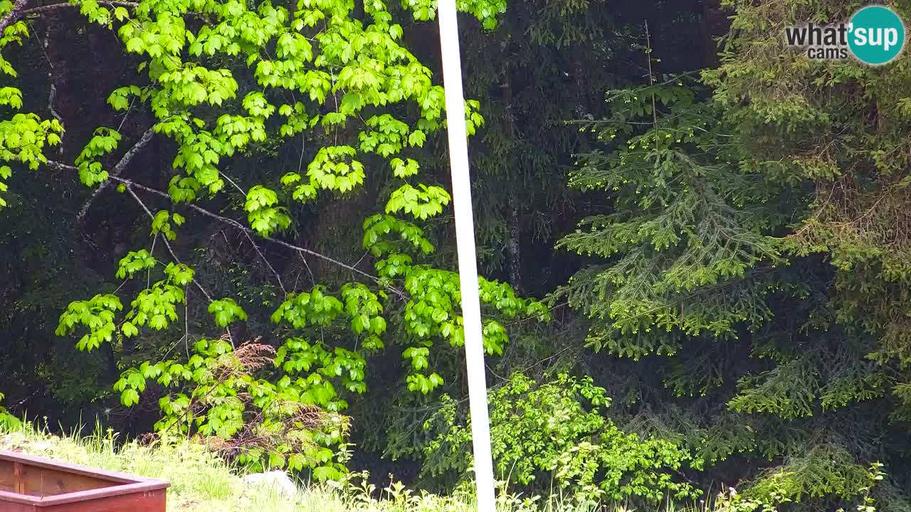 Webcam Lukanja – Water Village | Pohorje Houses