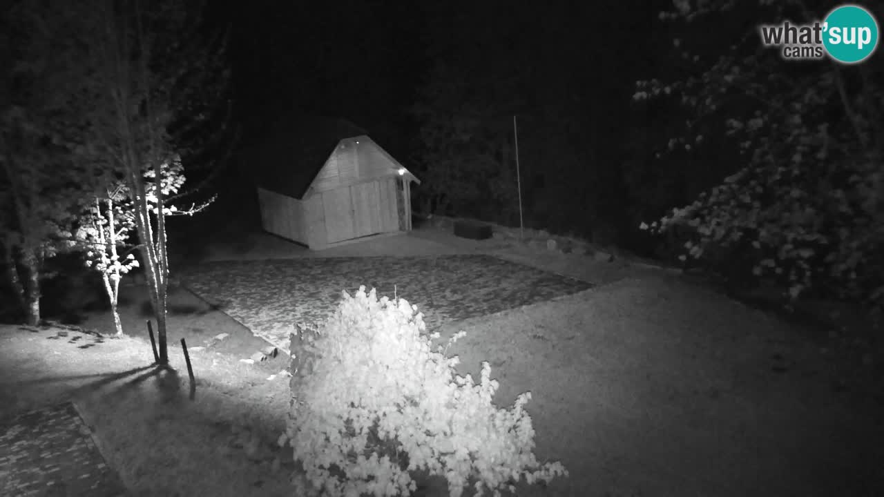Webcam Lukanja – Water Village | Pohorje Houses