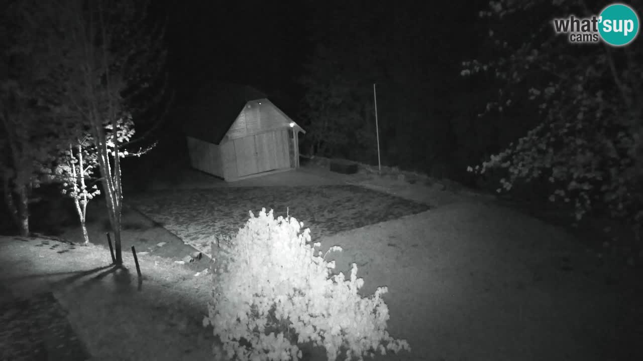Webcam Lukanja – Water Village | Pohorje Houses