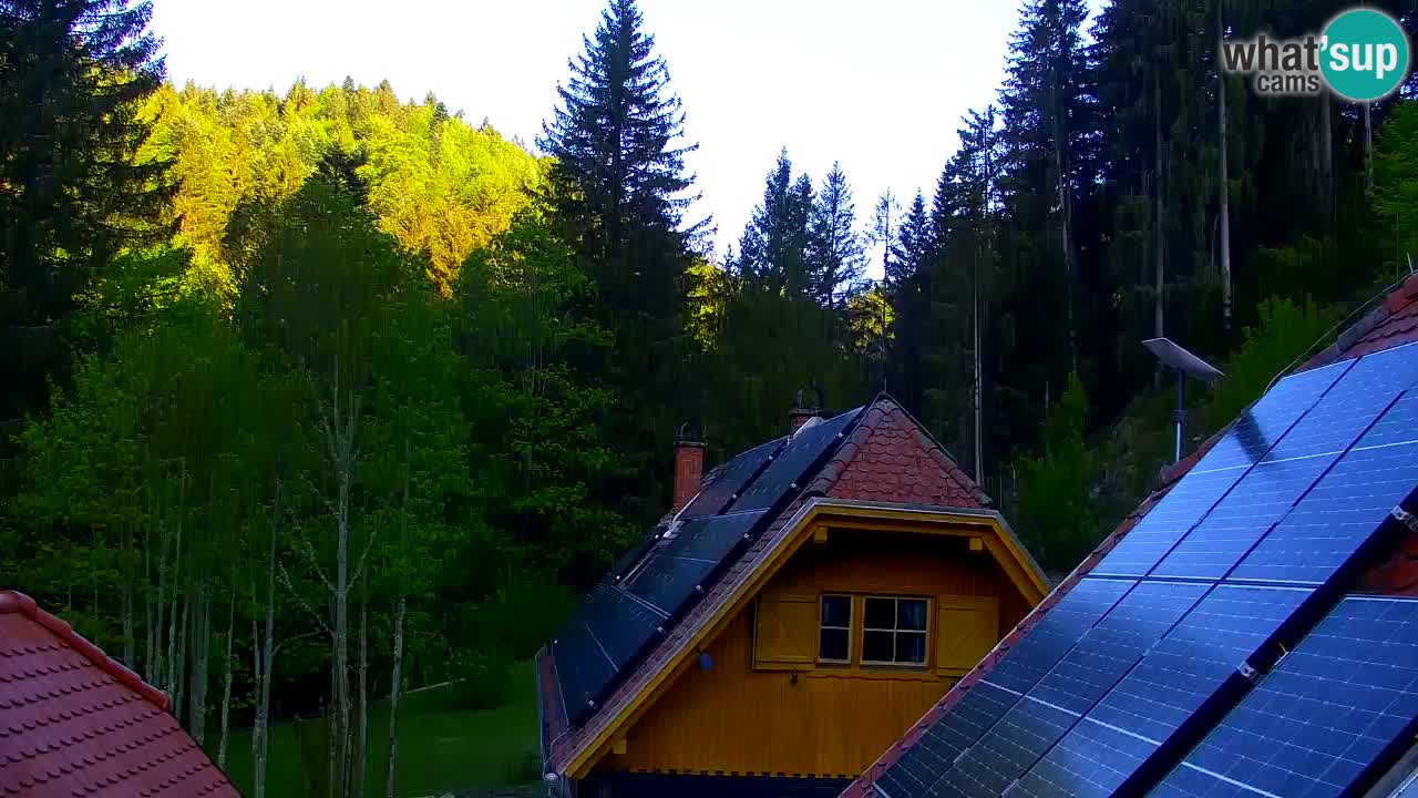 Web kamera Lukanja – Water Village | Pohorje Houses